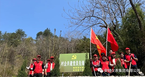 党建强引领，，，，，，共植先锋林