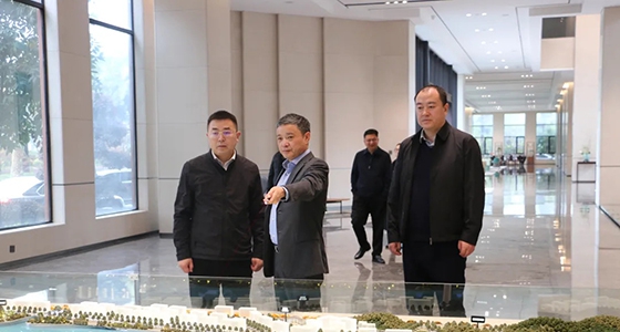 丽水市政府副秘书长王永国一行调研Bevictor韦德集团